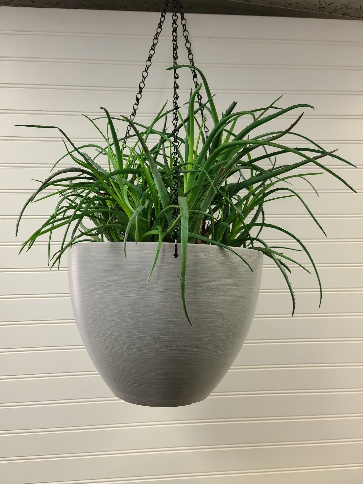 Eco-Tech Hanging Planter