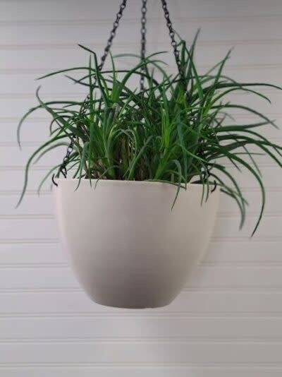 Eco-Tech Hanging Planter