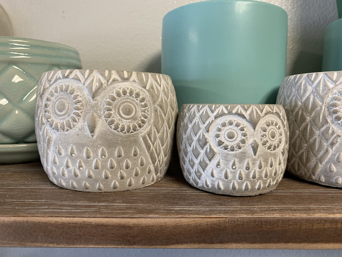 Owl Planter