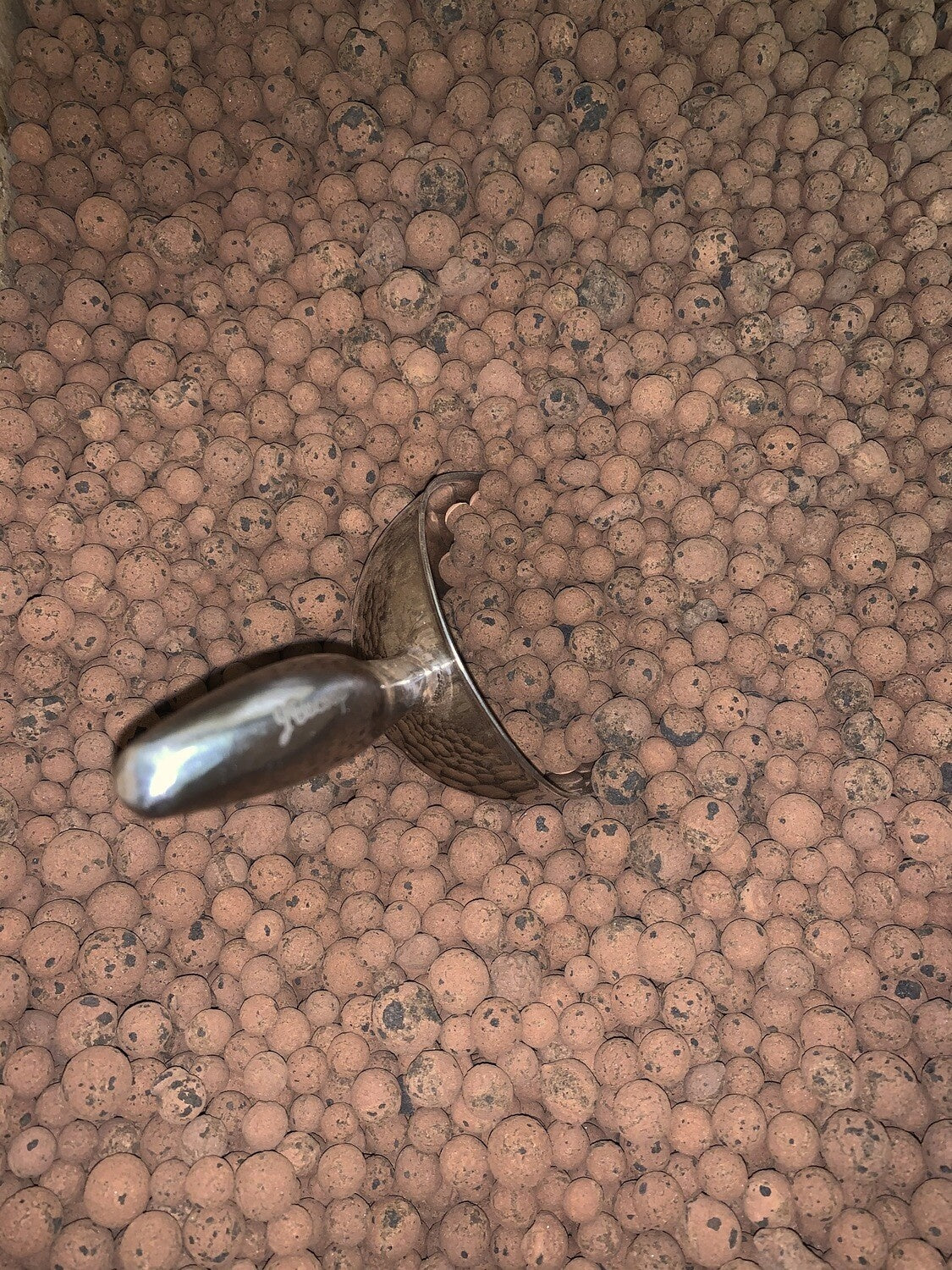 Hydroton Clay - LECA