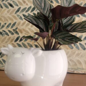 Ceramic Animal Planter