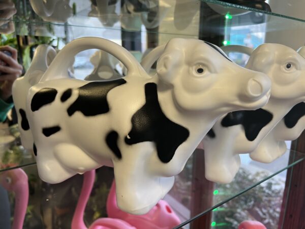 Cow Watering Can