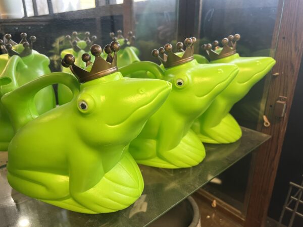 Frog Prince Watering can